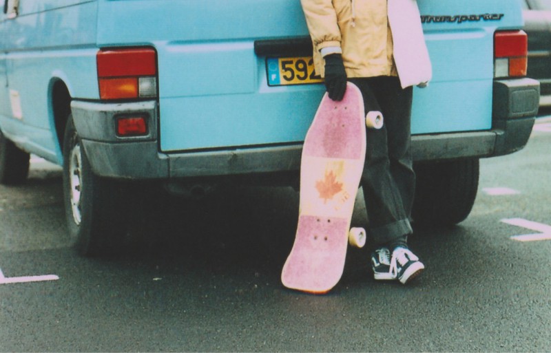 Skate rose