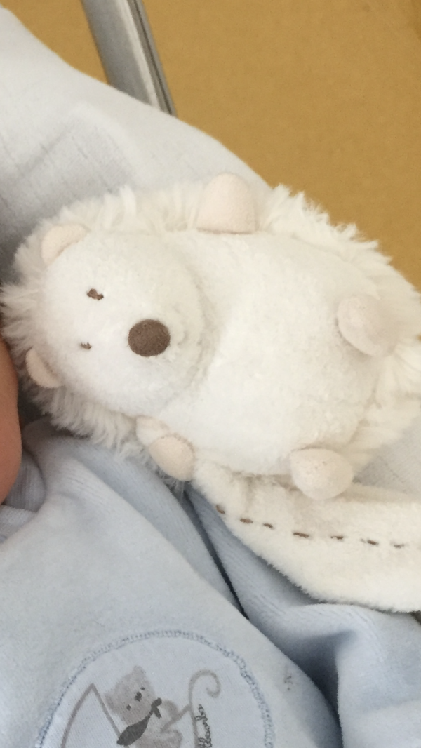 Doudou perdu