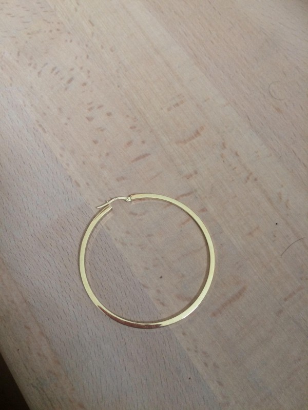 J’AI PERDU UNE BOUCLE D’OREILLE LE 28 MAI