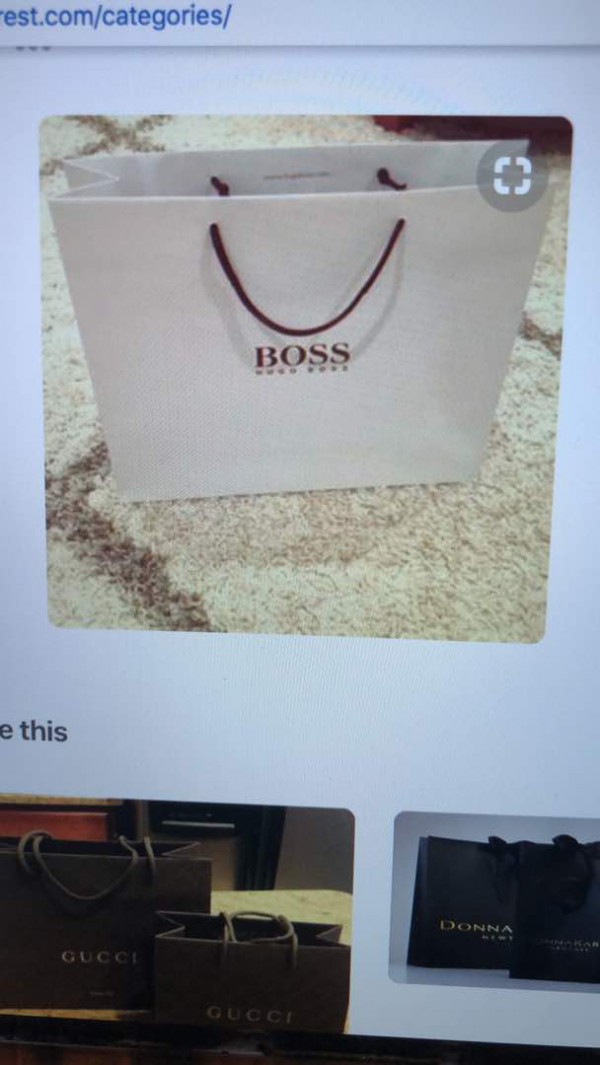 Lost BOSS Shopping bag with Mens Business Shirts and Ties - Ferney (F Bus to Gex)