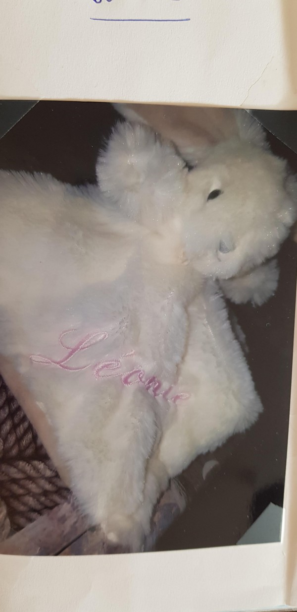 Doudou lapin brodé leonie