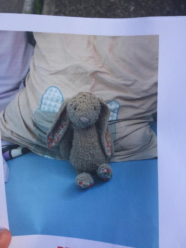 Perdu doudou lapin Jellycat 09600