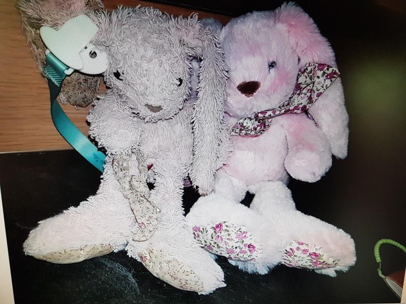 Doudou perdu