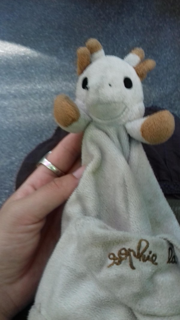 Doudou enfant trouvé place Darcy Dijon