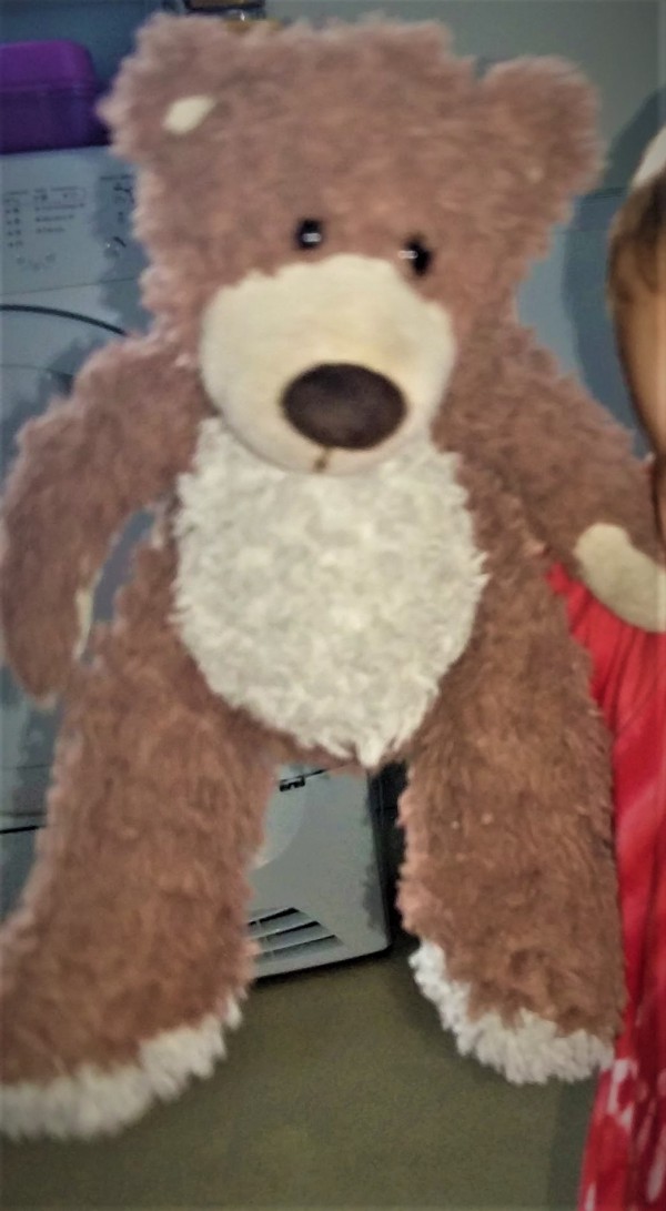Perdu ours en peluche