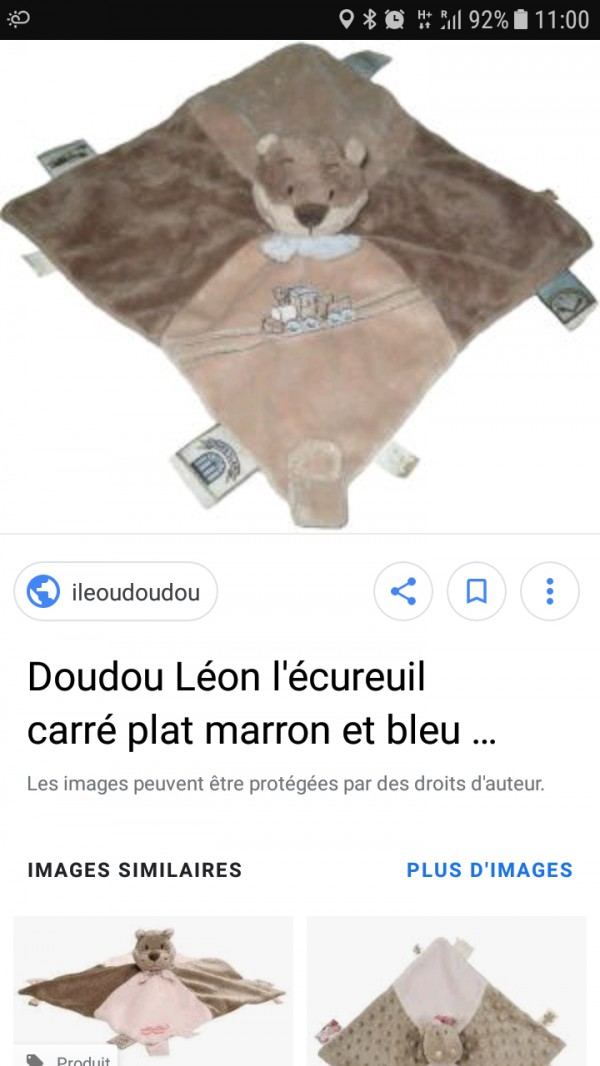 Doudou écureuil n'oublies perdu vol air France jeudi 27 juin