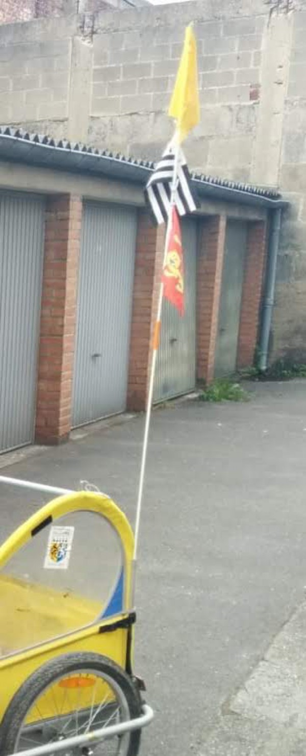 porte drapeau de remorque vélo