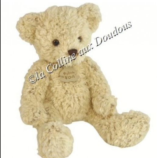 Perdu doudou nounours (histoire d'ours) marron clair - marché de Suresnes le 30/6/18