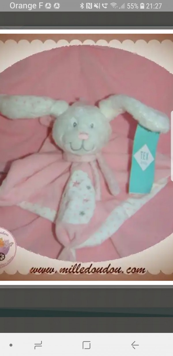 Ddoudou lapin rose perdu le 16/07 au centre ville