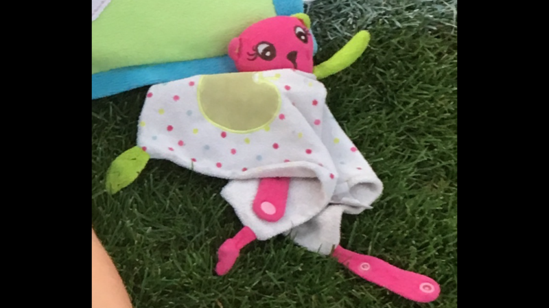 Perdu Doudou secteur EYSINES cauderan Le Bouscat