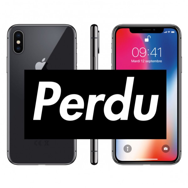 iPhone X gris sidéral volé à Marseille St charles