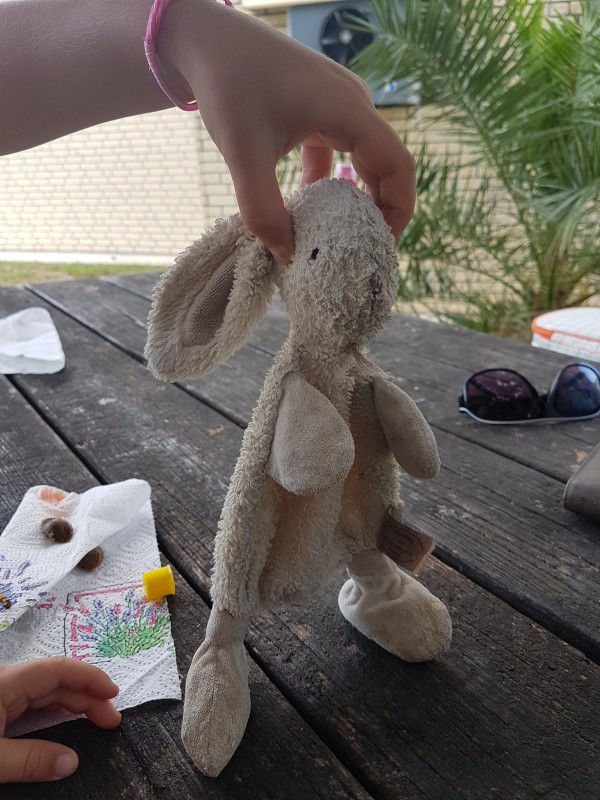 Doudou lapin blanc perdu entre Cannes et Mandelieu la Napoule