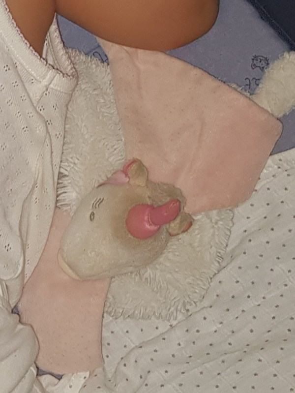 Doudou perdu saint Laurent du var