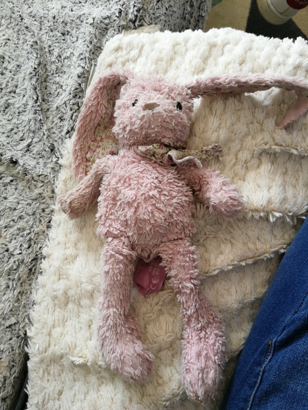 Perdu doudou lapin rose festival interceltique