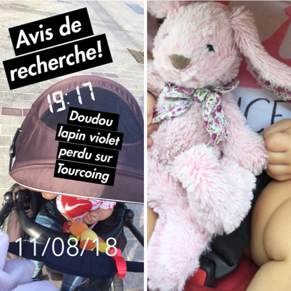 Perdu lapin violet