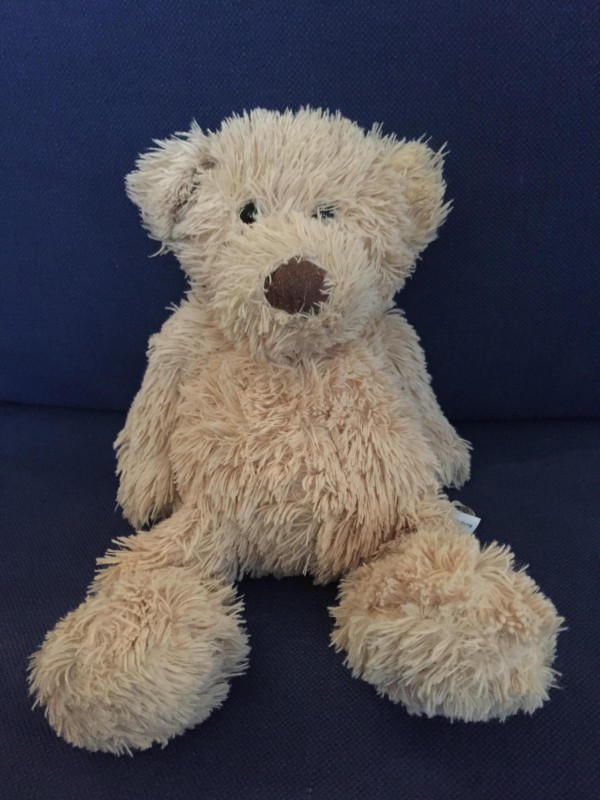 Perdu doudou nounours beige à chinon