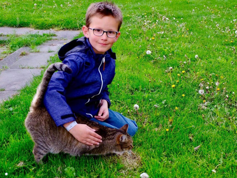 Perdu des lunettes de vue, d'un enfant