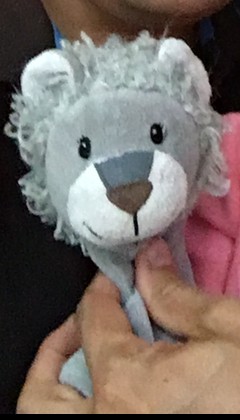 Un doudou gris en forme de Lion à La Rochelle