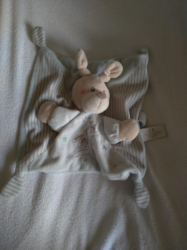 Perdu doudou lapin bleu clair, quartier Beaujoire/Halvêque