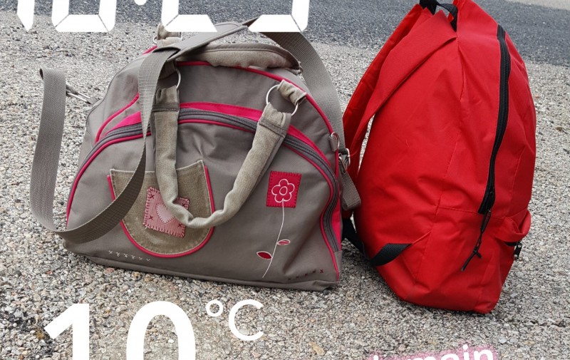 Sac a lange gris et rose