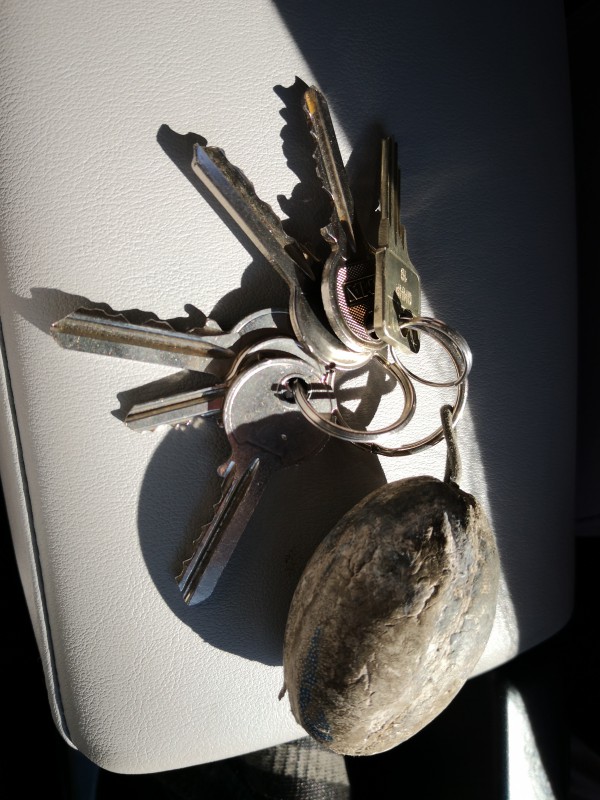 Clefs