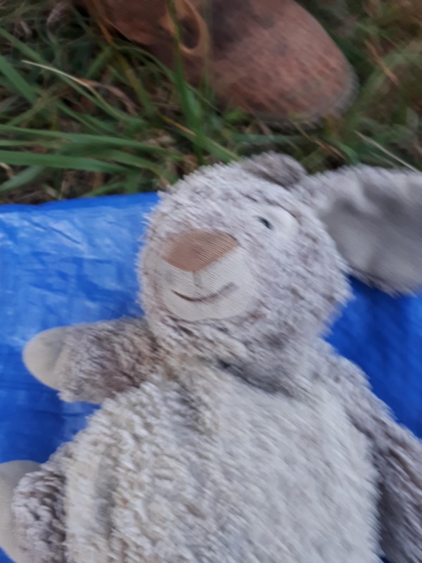 Doudou lapin enfant sur le trajet pieton voie verte la grande motte le boucanet