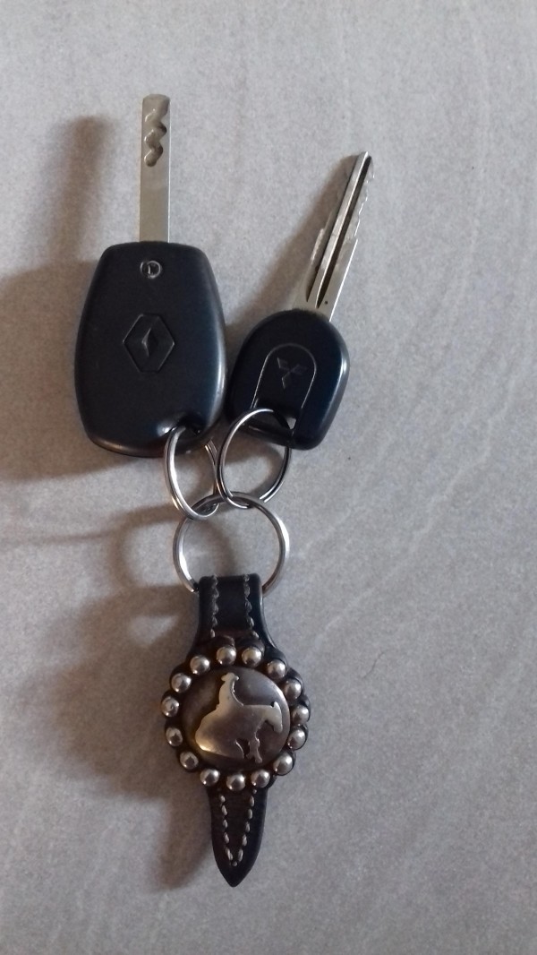 Porte clés de voiture avec une clé Renault et une clé mitsubishi