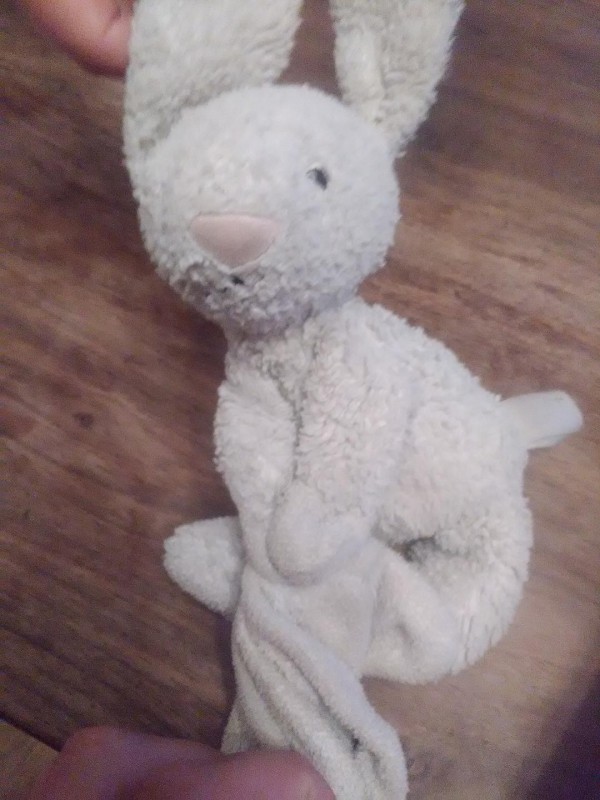 DOUDOU LAPIN JELLY CAT PERDU