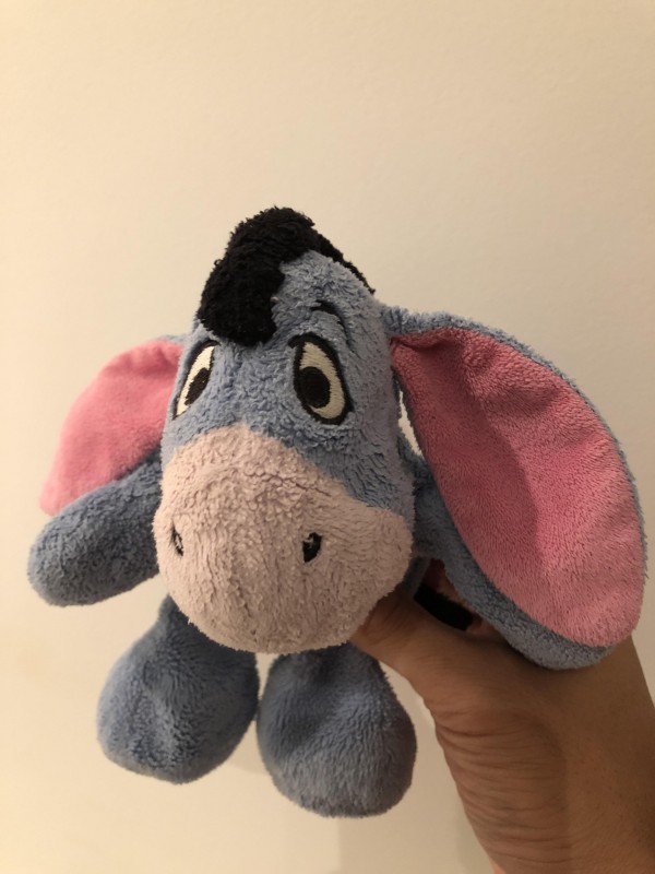Doudou bourriquet à Fréjus/saint Raphaël