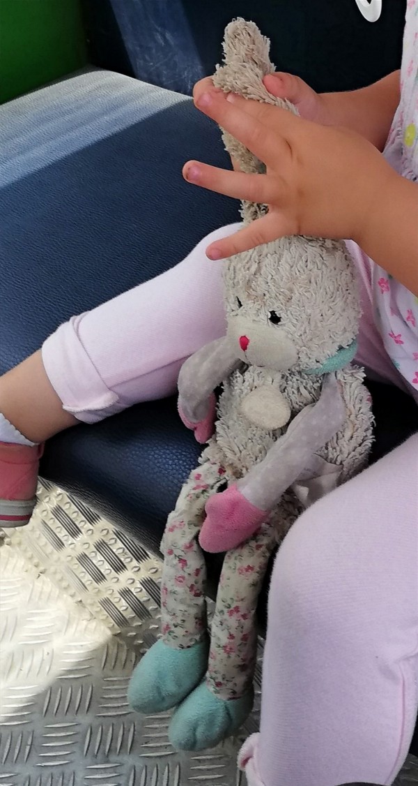 Doudou lapin