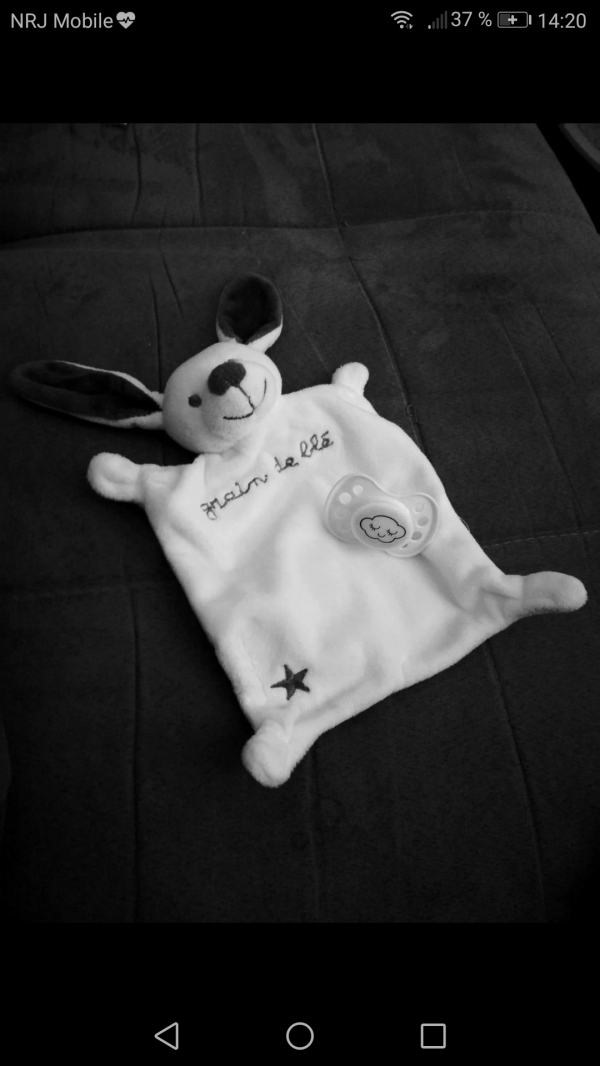 Doudou lapin blanc perdu a Palavas les flots