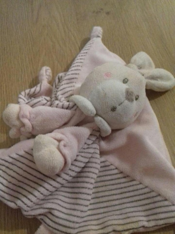 Perdu Doudou Lapin à Brest