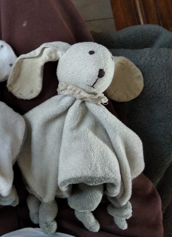 Perdu doudou lapin gris en centre ville