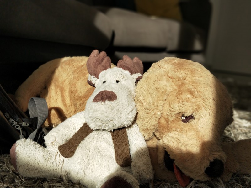 Perdu Doudou / Renne en peluche gris-brun, avec écharpe brune / Lyon, environs Cordeliers