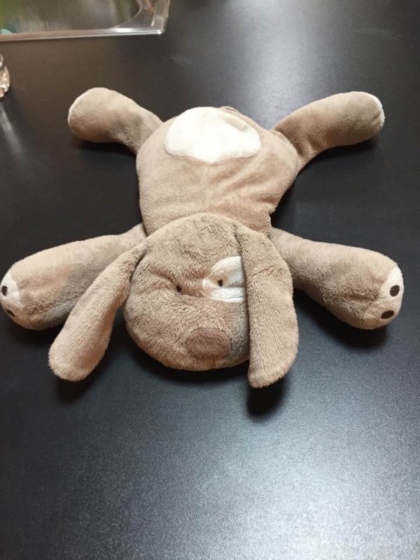 Perdu doudou