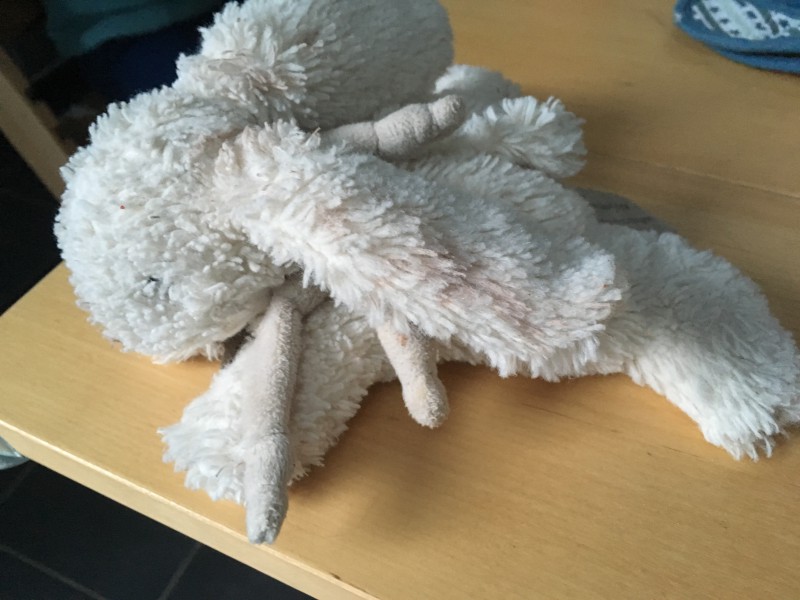 Doudou blanc doudou et compagnie