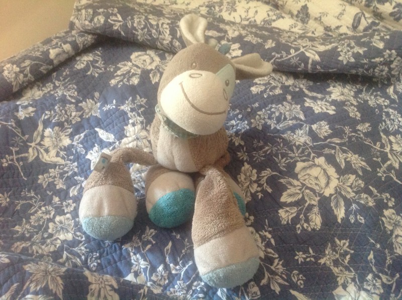 Perdu Doudou petit ane gris Nattou à Nice
