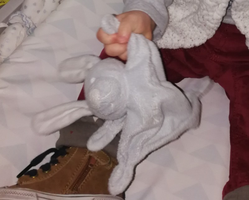 Perdu doudou lapin à Bourg en Bresse