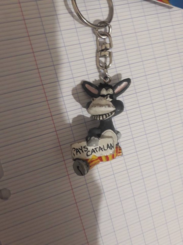 urgent: clef d'appartement perdu, rue des postes lille