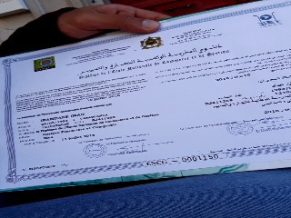 Diplome bac + 5 ENCG perdu à saint etienne