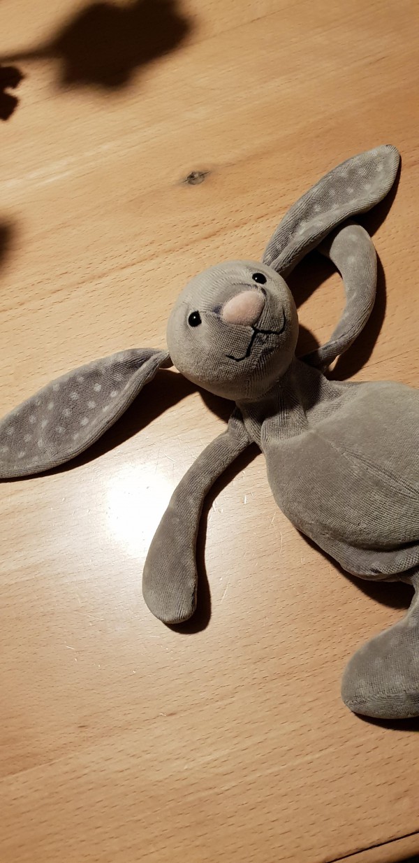 Doudou lapin oublié dans le train 5420 le 19 oct en gare de Poitiers direction Bordeaux
