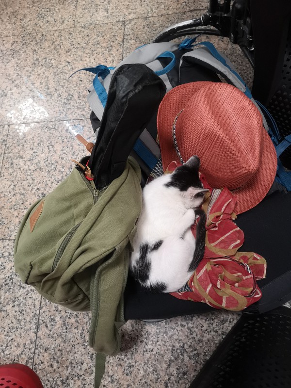 Chapeau de paille aéroport Casablanca Mohamed V
