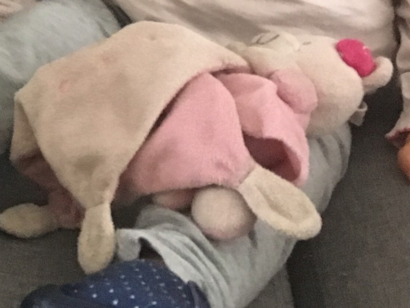 Doudou perdu