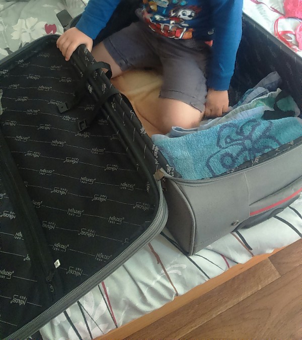 valise + sac à main volé à fâches-thumesnil