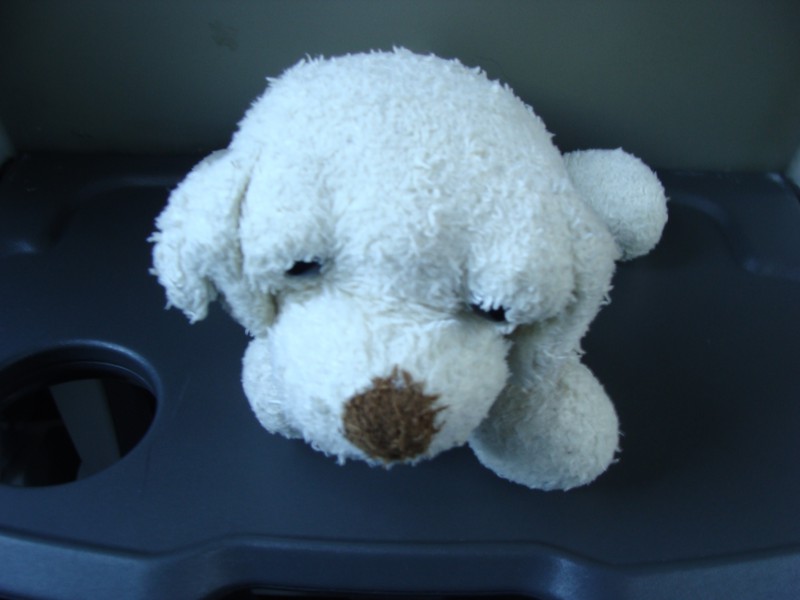 Doudou petit chien en peluche blanc avec un pull bleu