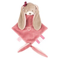 Perdu doudou à la vogue des noix à Firminy, le jour du corso