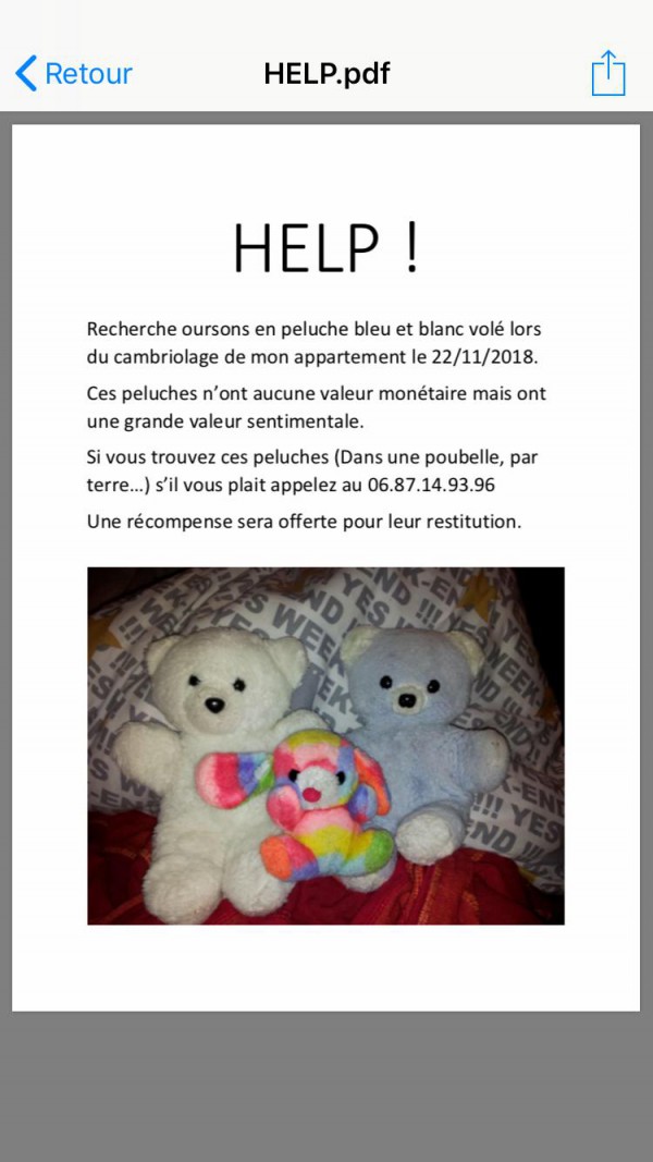 Nounours oursons en peluche 1 blanc et 1 bleu