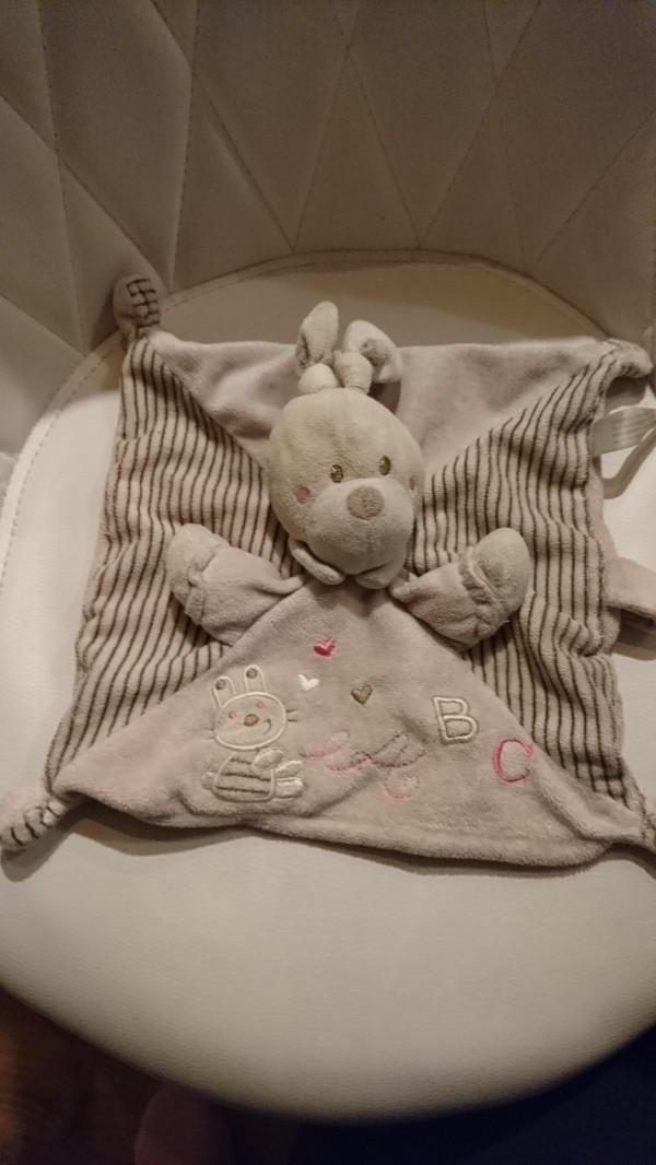 Doudou Nicotoy trouvé blvd Carnot Agen Centre