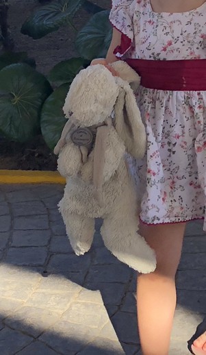 Perdu doudou lapin blanc le vesinet