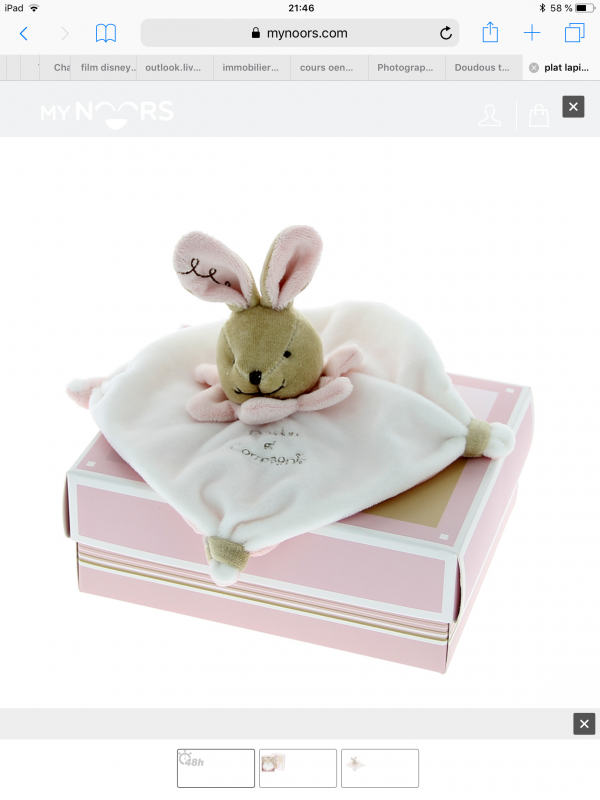 Perdu doudou lapin rose et blanc. Lille centre